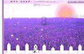 2023年社保认证时间-有问必答平台-专业解答您的疑问