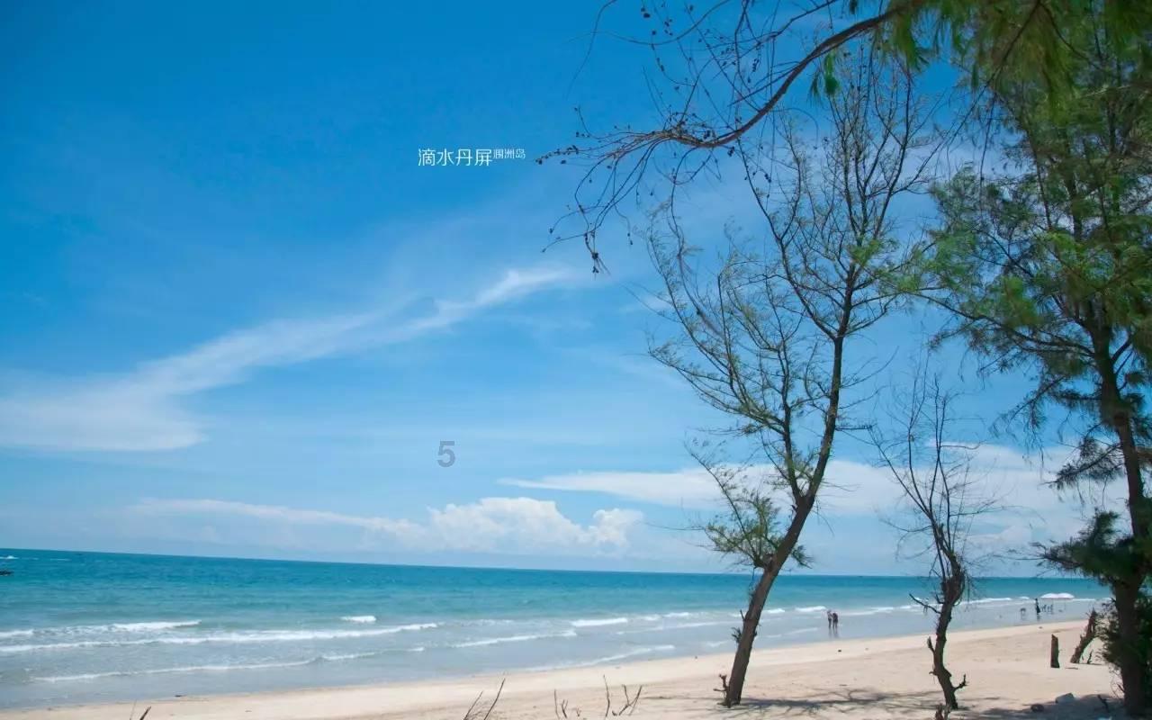 沪江开心词场
