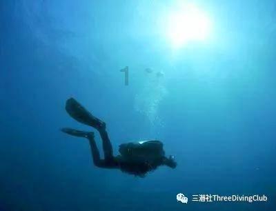88影视