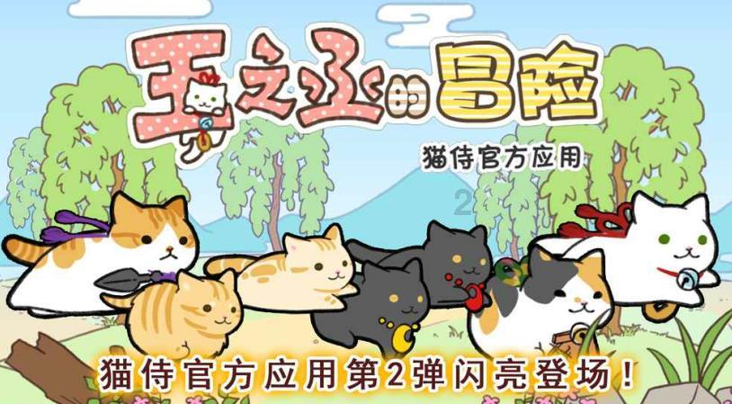 创作猫