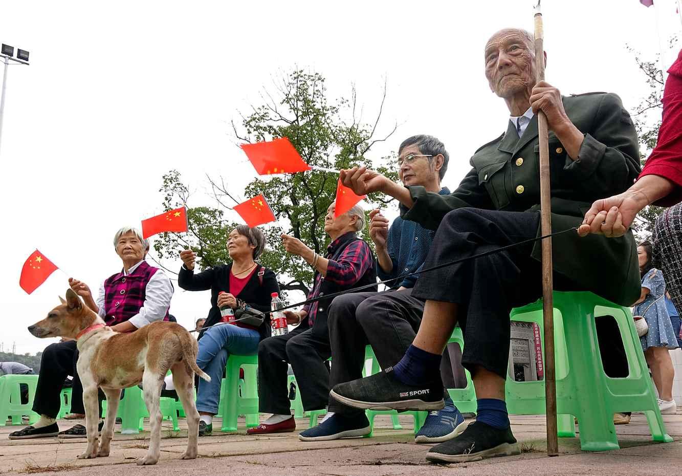 探索为啥在交管12123上备案驾驶证时输入档案编号显示没有查询到驾驶证信息?,解决你的疑惑