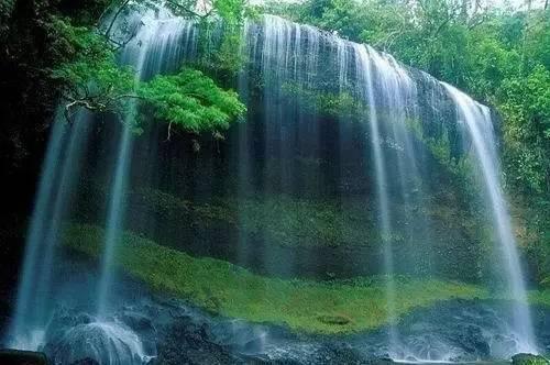 zhengzhong看拼音写词语