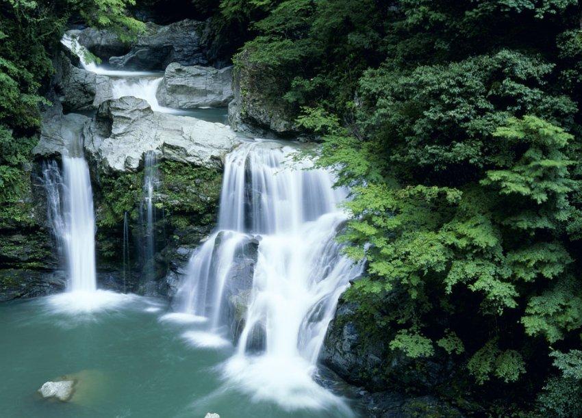 探索知识星球平台,尽在做纸杯蛋糕放烤箱里几度几分钟?
