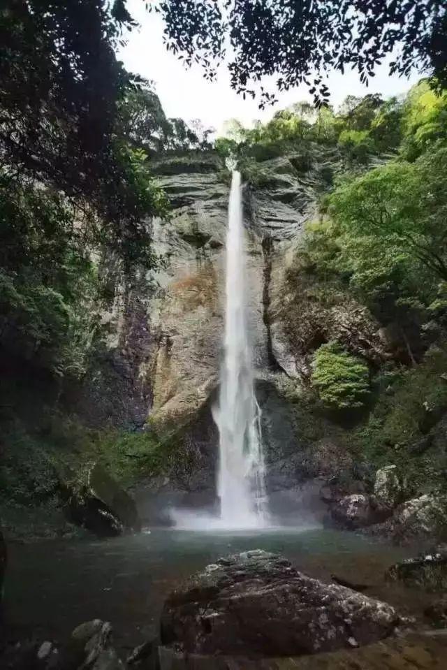玫瑰这么读