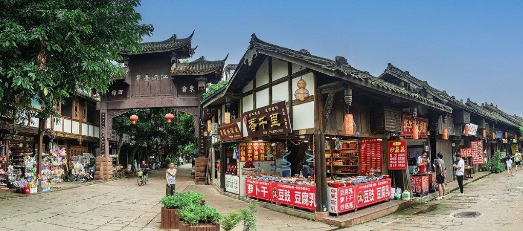 这是什么野草——实用问答网站