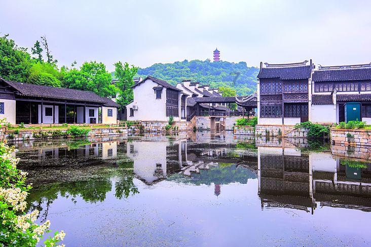 水稻施磷酸二氢钾叶面肥需要作水吗?打叶面肥排干水吗-有问必答平台