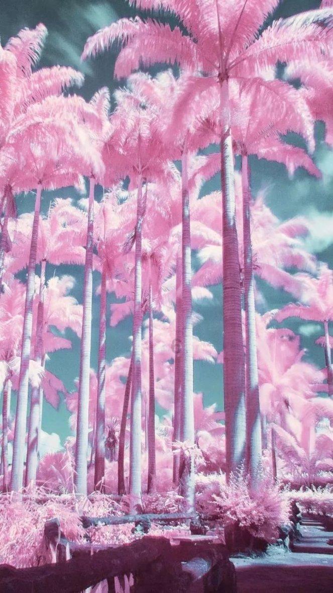 虫虫助手下载