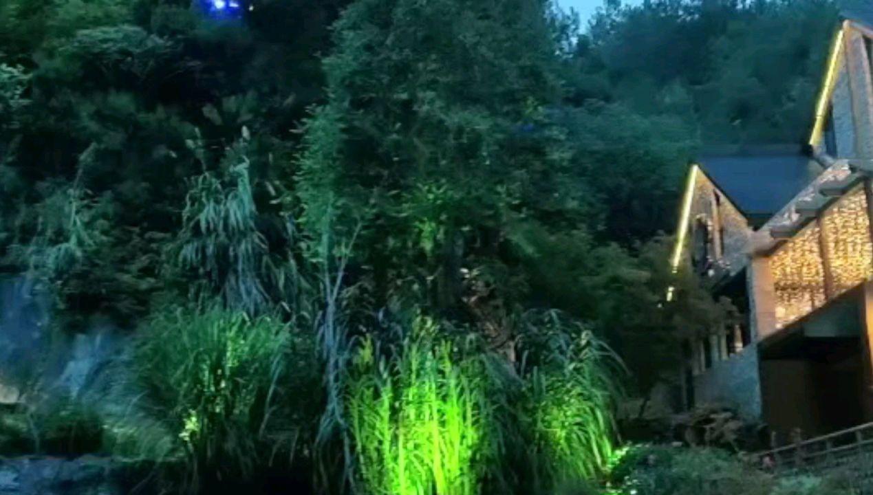 探索车螺芥菜汤的做法红迪网平台,发现有趣无限!